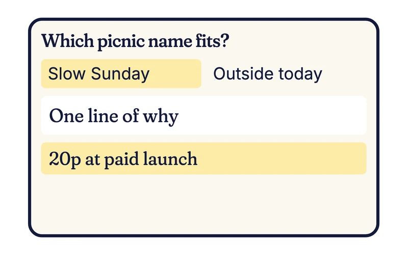 Example question card asking which picnic name fits, Slow Sunday or Outside today