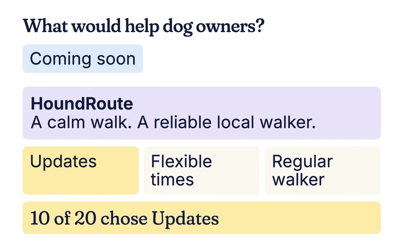 Example brief asking what would help dog owners, marked Coming soon